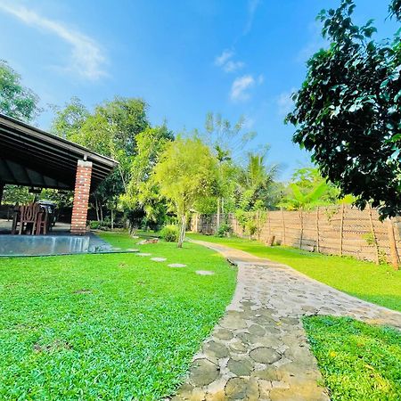 Green Cottage Anuradhapura Exteriör bild