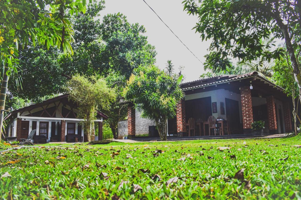 Green Cottage Anuradhapura Exteriör bild