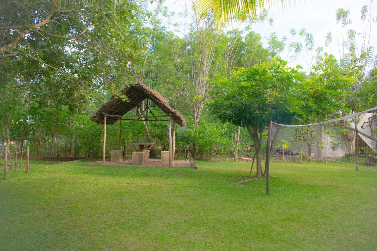 Green Cottage Anuradhapura Exteriör bild