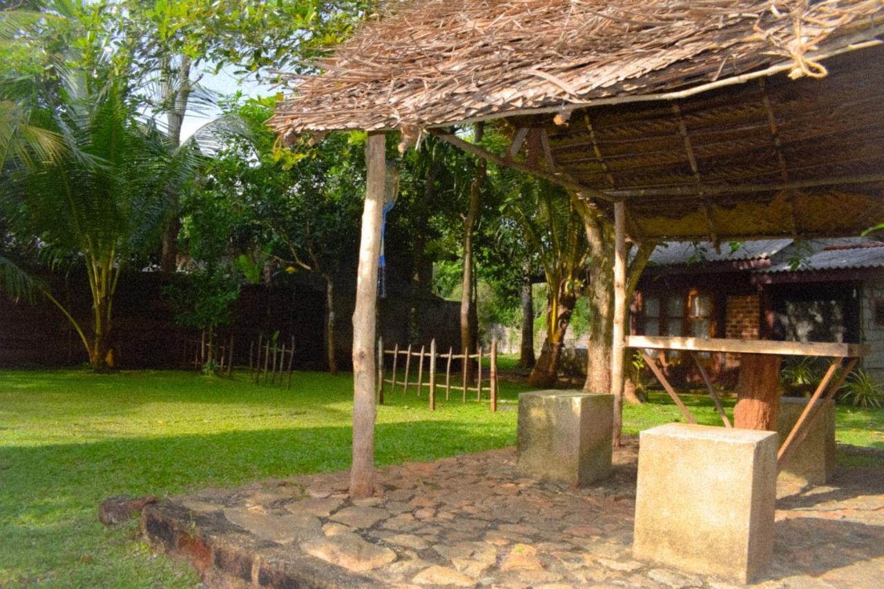 Green Cottage Anuradhapura Exteriör bild