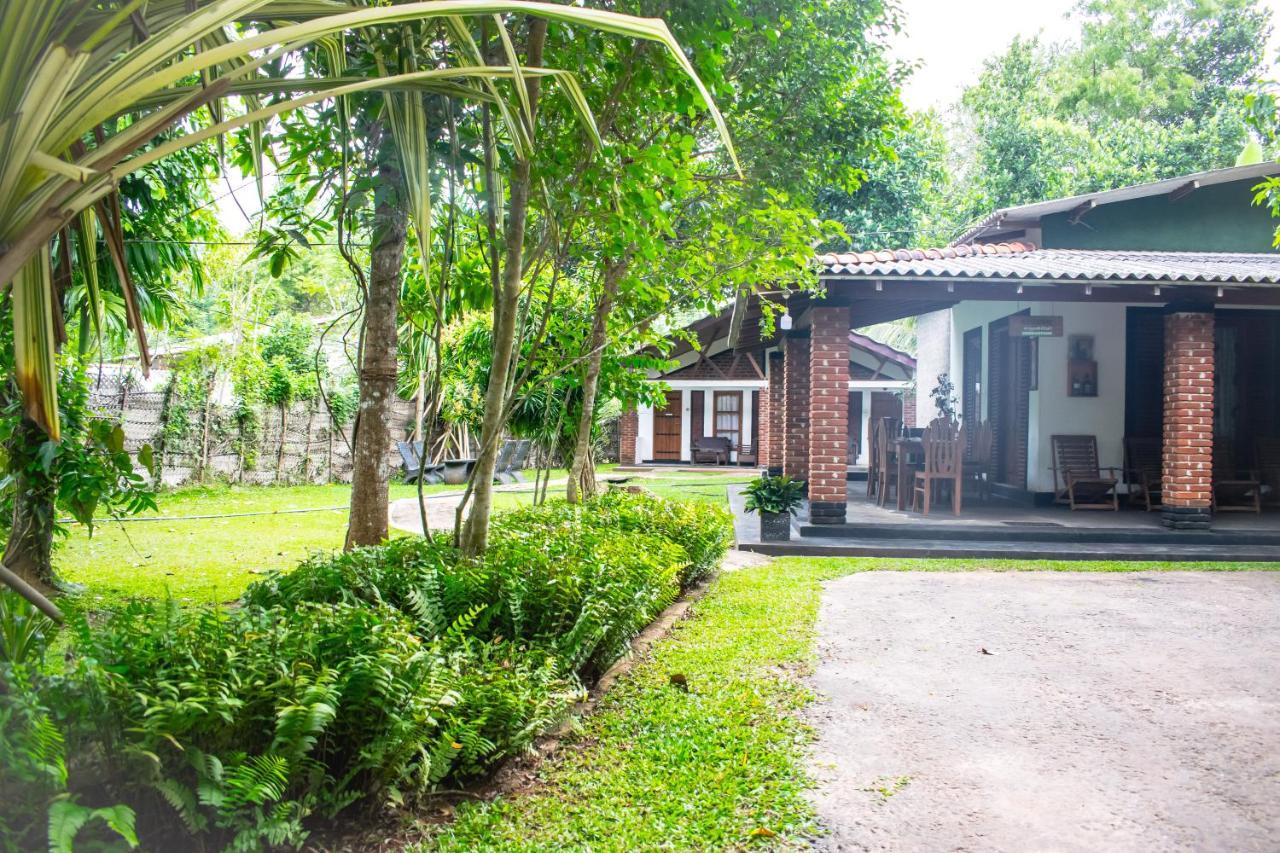 Green Cottage Anuradhapura Exteriör bild