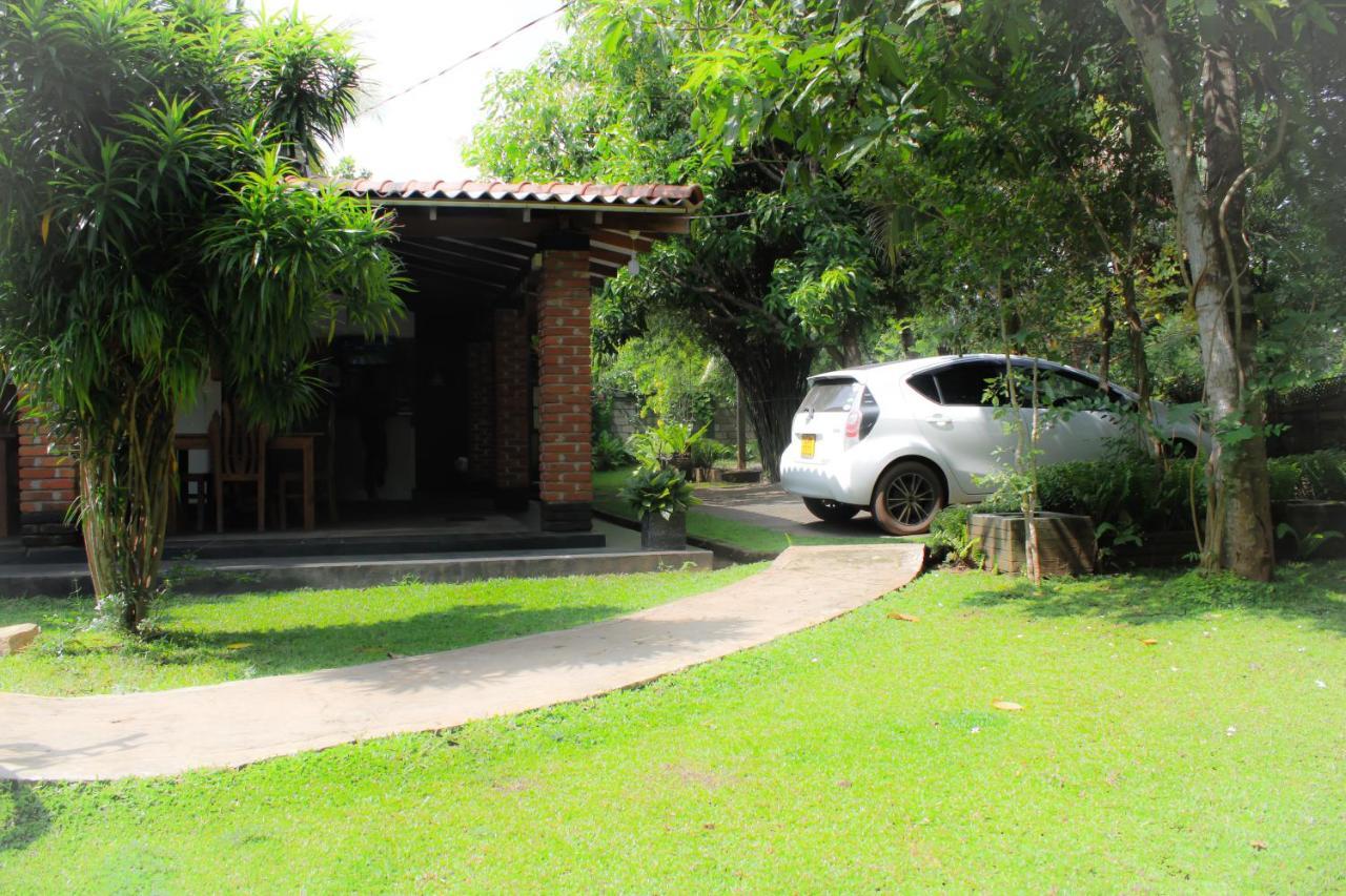 Green Cottage Anuradhapura Exteriör bild