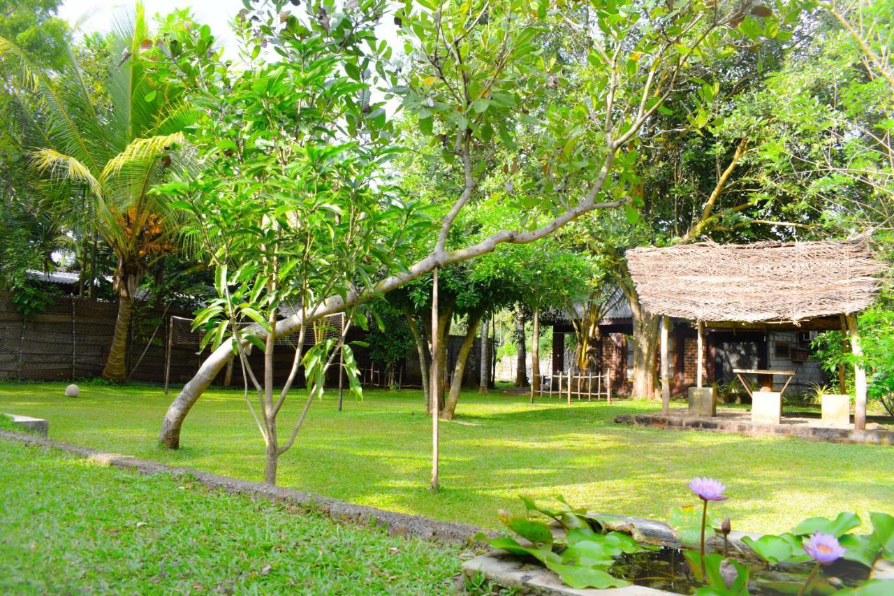 Green Cottage Anuradhapura Exteriör bild