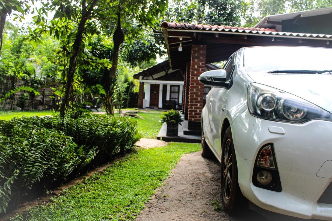 Green Cottage Anuradhapura Exteriör bild