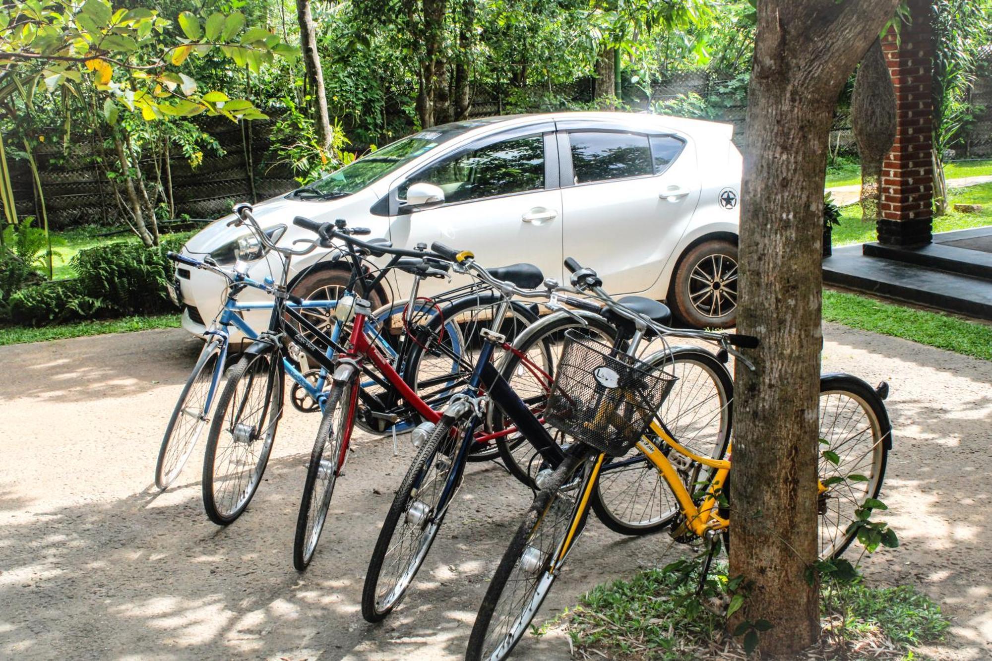 Green Cottage Anuradhapura Rum bild