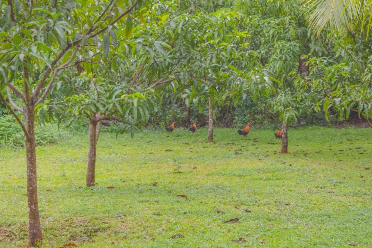 Green Cottage Anuradhapura Exteriör bild